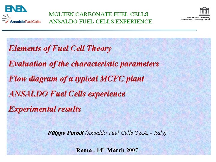 MOLTEN CARBONATE FUEL CELLS ANSALDO FUEL CELLS Experience