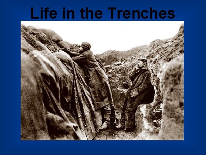 Life in the Trenches 