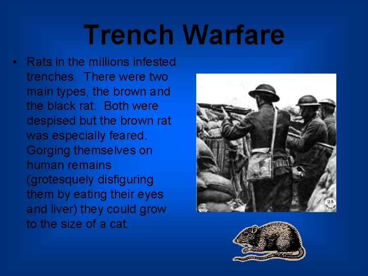 Trench Warfare • Rats in the millions infested trenches. There were two main types,