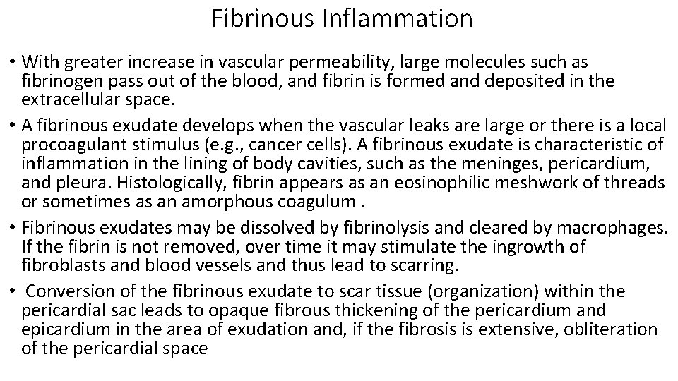 Fibrinous Inflammation • With greater increase in vascular permeability, large molecules such as fibrinogen