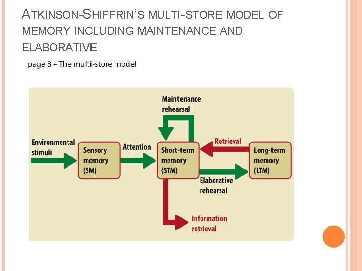 ATKINSON-SHIFFRIN’S MULTI-STORE MODEL OF MEMORY INCLUDING MAINTENANCE AND ELABORATIVE 