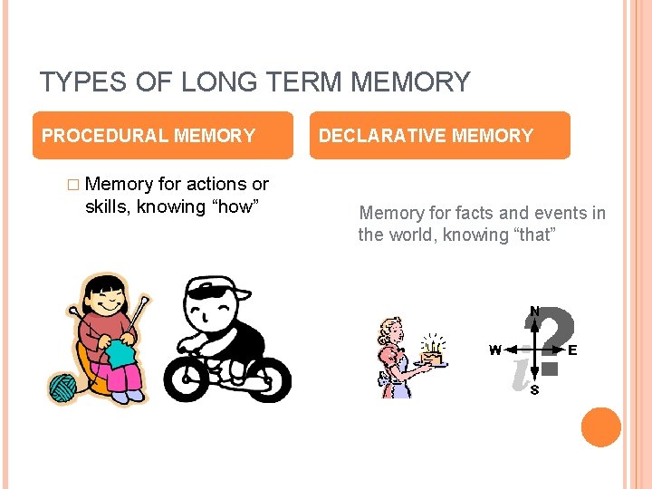 TYPES OF LONG TERM MEMORY PROCEDURAL MEMORY for actions or skills, knowing “how” DECLARATIVE