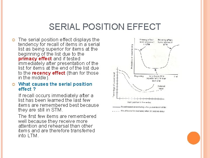 SERIAL POSITION EFFECT The serial position effect displays the tendency for recall of items