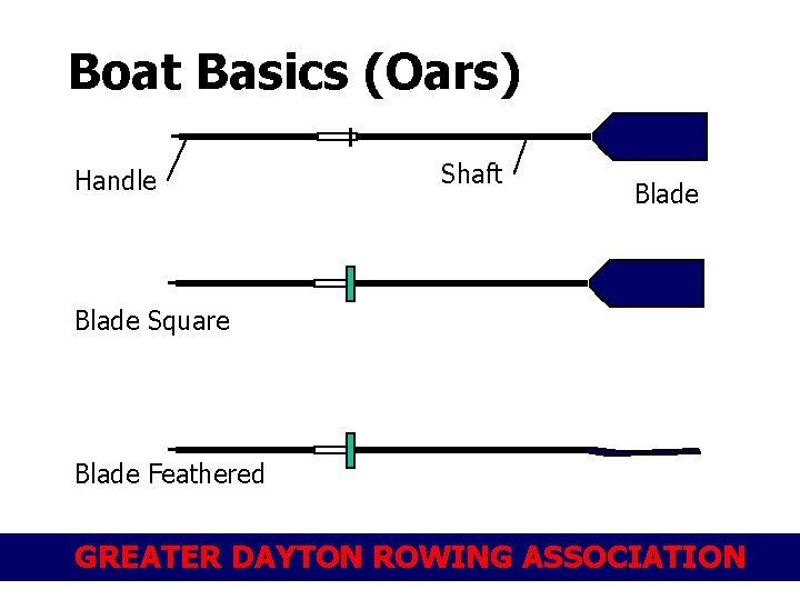 Boat Basics (Oars) Handle Shaft Blade Square Blade Feathered GREATER DAYTON ROWING ASSOCIATION 