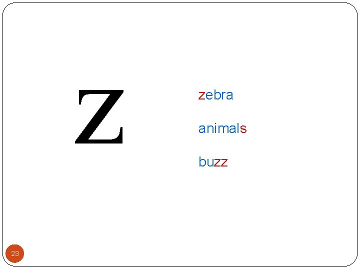 z 23 zebra animals buzz 