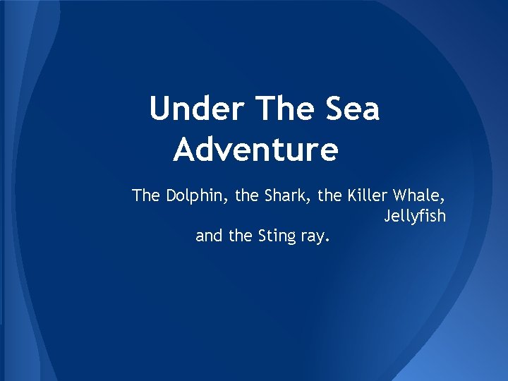 Under The Sea Adventure The Dolphin, the Shark, the Killer Whale, Jellyfish and the