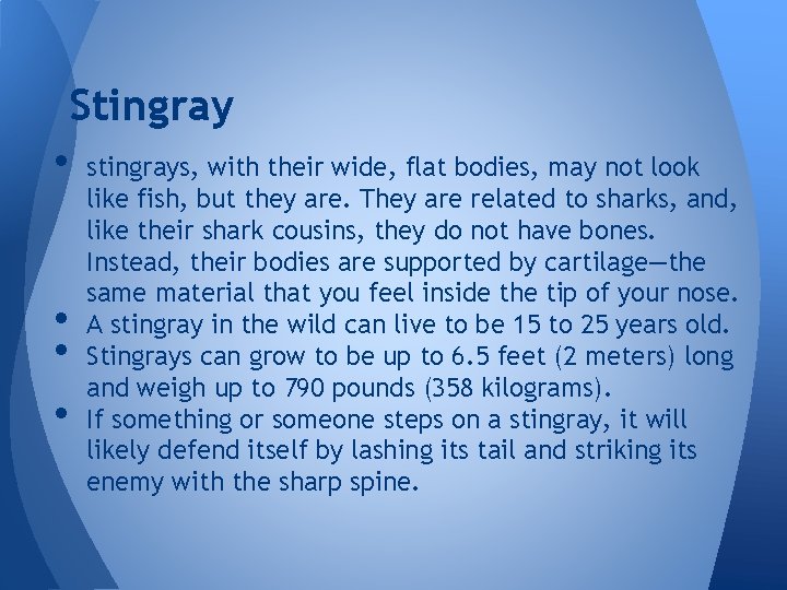 Stingray • stingrays, with their wide, flat bodies, may not look • • •