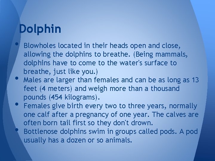 Dolphin • Blowholes located in their heads open and close, • • • allowing