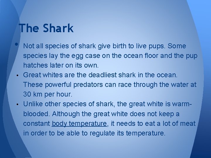 The Shark • Not all species of shark give birth to live pups. Some