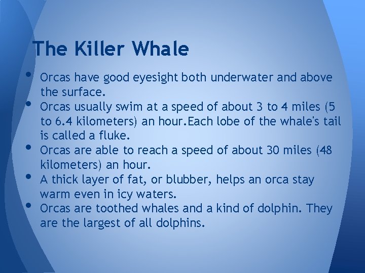 The Killer Whale • Orcas have good eyesight both underwater and above the surface.