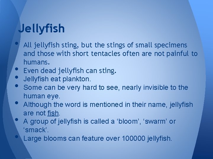 Jellyfish • All jellyfish sting, but the stings of small specimens • • •