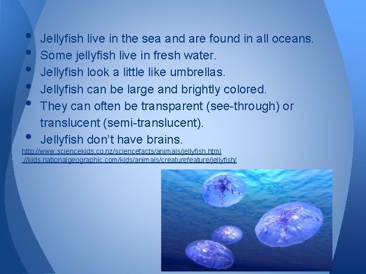  • • • Jellyfish live in the sea and are found in all