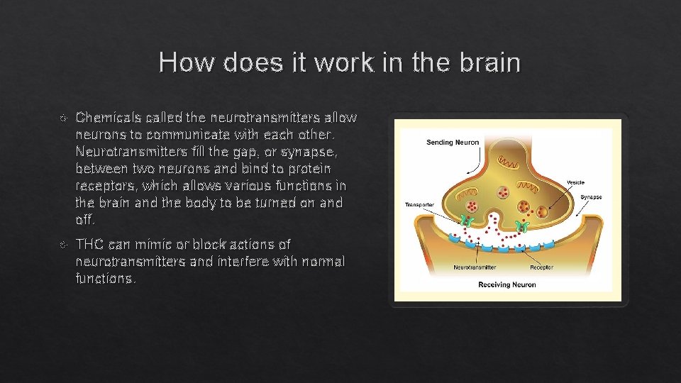 How does it work in the brain Chemicals called the neurotransmitters allow neurons to