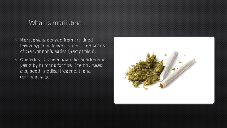 What is marijuana Marijuana is derived from the dried flowering tops, leaves, stems, and