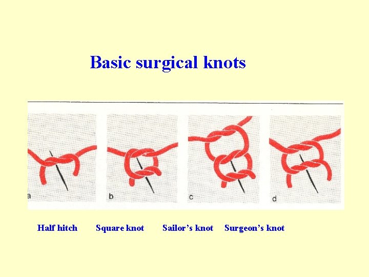Basic surgical knots Half hitch Square knot Sailor’s knot Surgeon’s knot Basic surgical knots Half hitch Square knot Sailor’s knot Surgeon’s knot