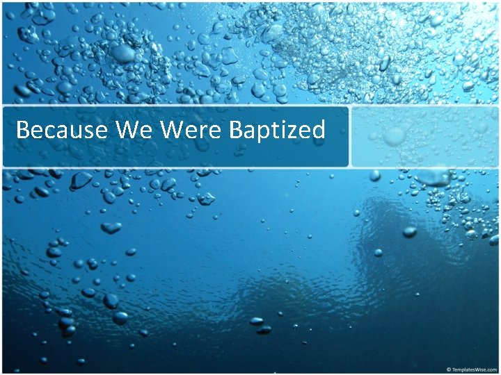 Because We Were Baptized 