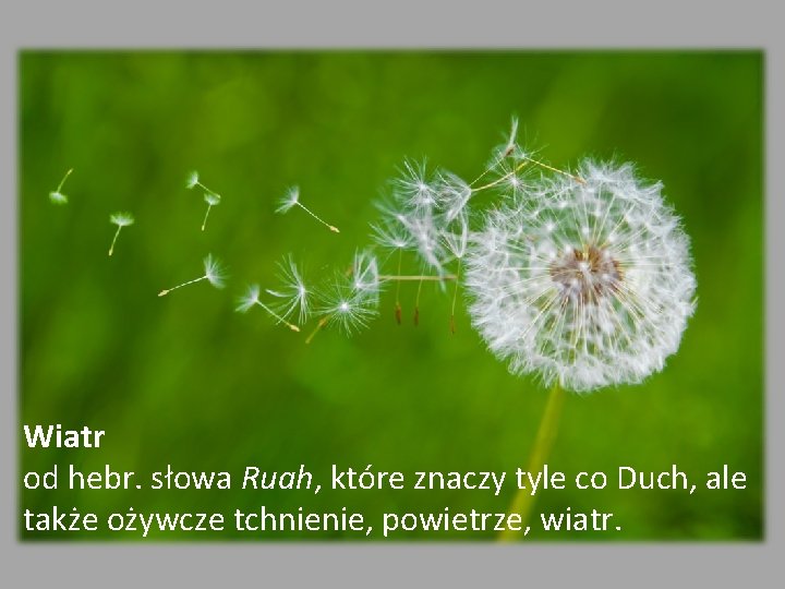 Wiatr od hebr. słowa Ruah, które znaczy tyle co Duch, ale także ożywcze tchnienie,