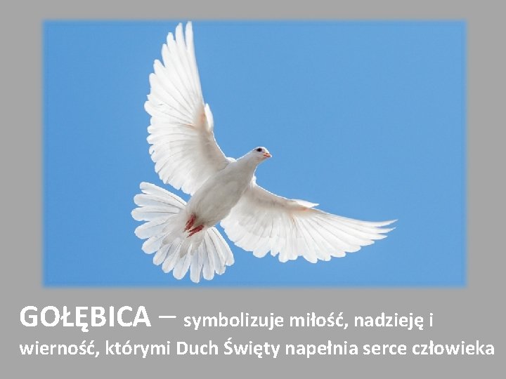 GOŁĘBICA – symbolizuje miłość, nadzieję i wierność, którymi Duch Święty napełnia serce człowieka 