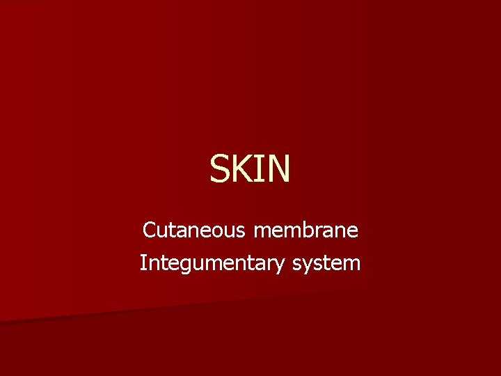 SKIN Cutaneous membrane Integumentary system 