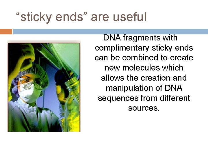 “sticky ends” are useful DNA fragments with complimentary sticky ends can be combined to