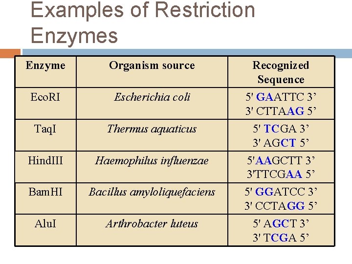 Examples of Restriction Enzymes Enzyme Organism source Eco. RI Escherichia coli Taq. I Thermus