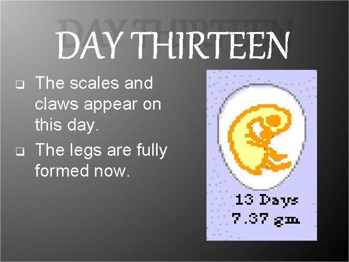 DAY THIRTEEN q q The scales and claws appear on this day. The legs DAY THIRTEEN q q The scales and claws appear on this day. The legs
