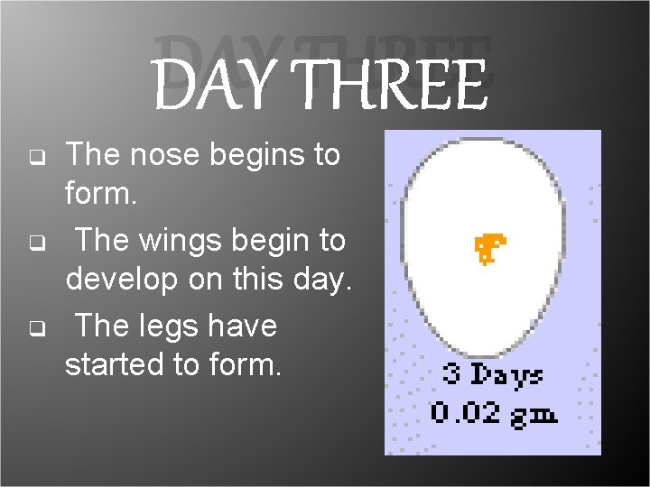 DAY THREE q q q The nose begins to form. The wings begin to DAY THREE q q q The nose begins to form. The wings begin to