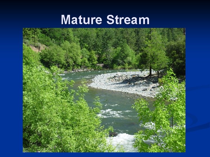 Mature Stream Mature Stream