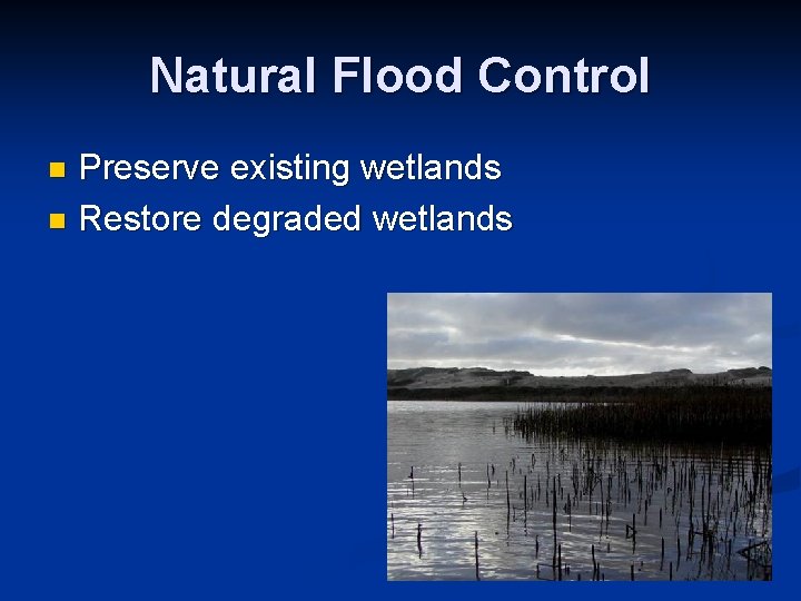 Natural Flood Control Preserve existing wetlands n Restore degraded wetlands n Natural Flood Control Preserve existing wetlands n Restore degraded wetlands n
