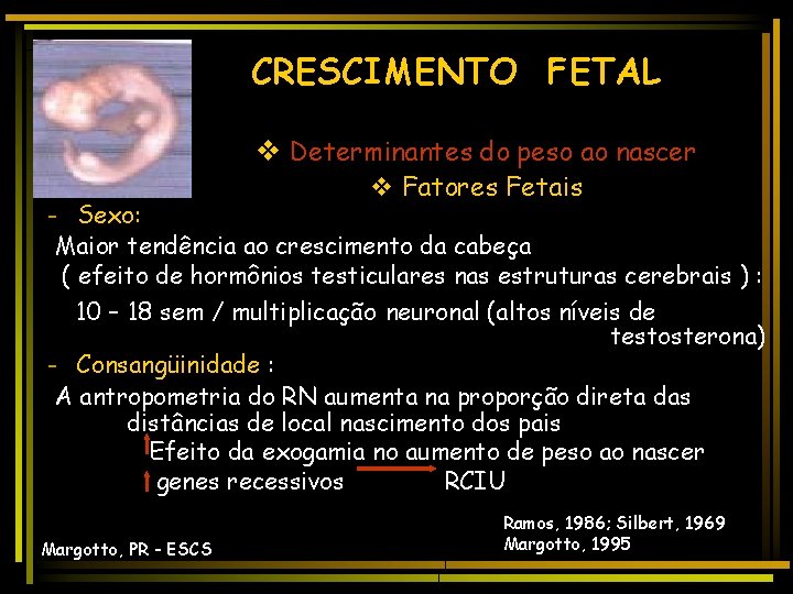 CRESCIMENTO FETAL v Determinantes do peso ao nascer v Fatores Fetais - Sexo: Maior