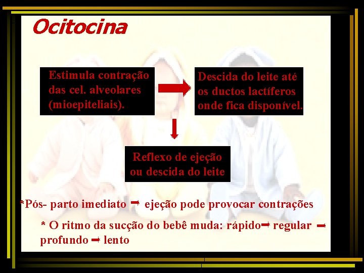 Ocitocina Estimula contração das cel. alveolares (mioepiteliais). Descida do leite até os ductos lactíferos