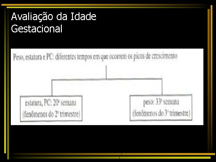 Avaliação da Idade Gestacional 