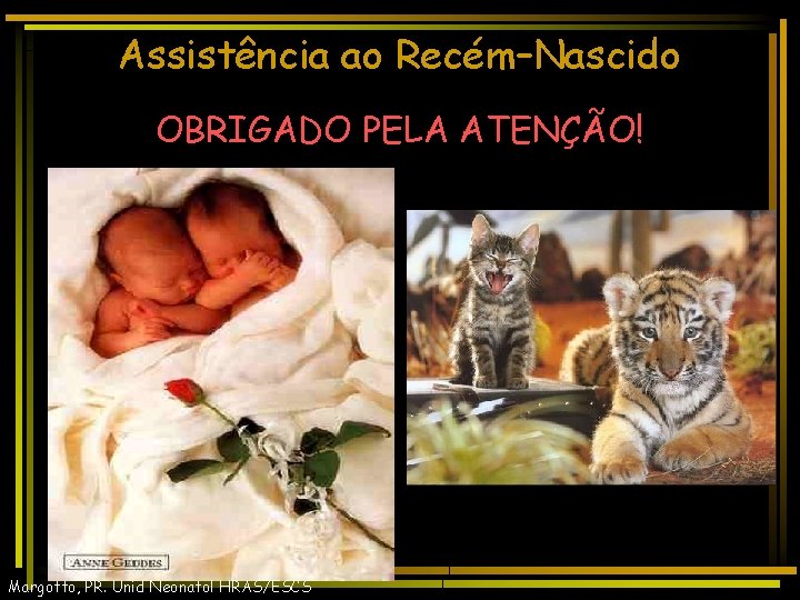 Assistência ao Recém–Nascido OBRIGADO PELA ATENÇÃO! Margotto, PR. Unid Neonatol HRAS/ESCS 