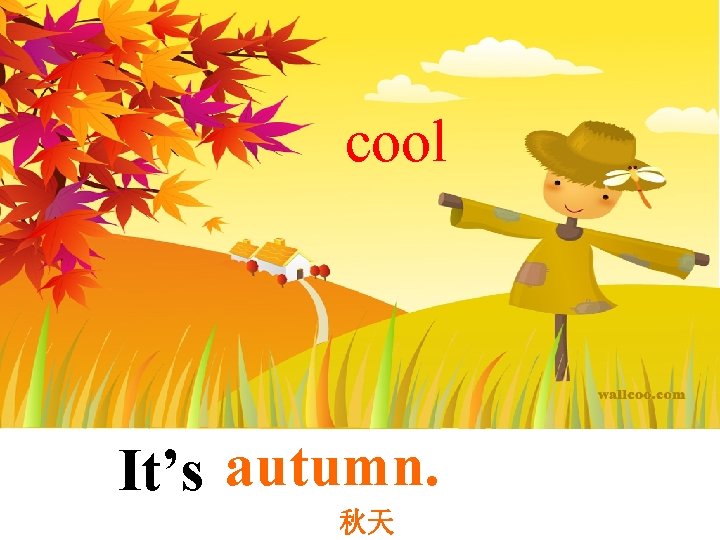 cool It’s autumn. 秋天 