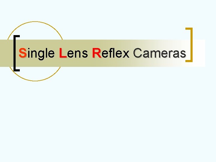 Single Lens Reflex Cameras Single Lens Reflex Cameras