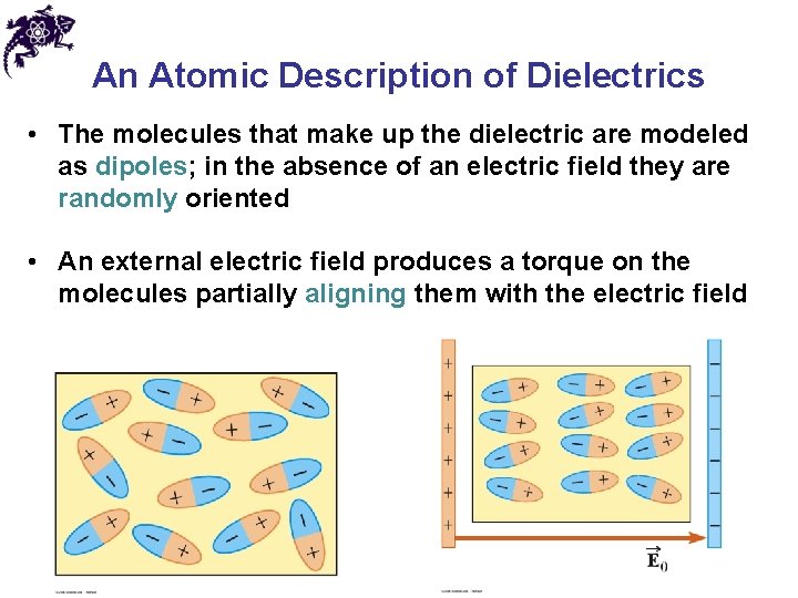 An Atomic Description of Dielectrics • The molecules that make up the dielectric are
