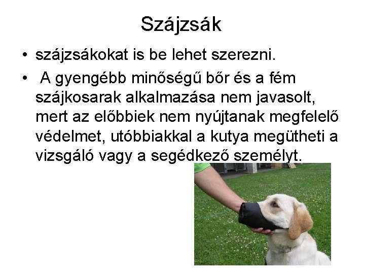 Szájzsák • szájzsákokat is be lehet szerezni. • A gyengébb minőségű bőr és a