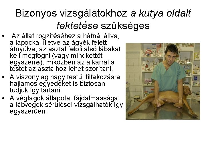 Bizonyos vizsgálatokhoz a kutya oldalt fektetése szükséges • Az állat rögzítéséhez a hátnál állva,