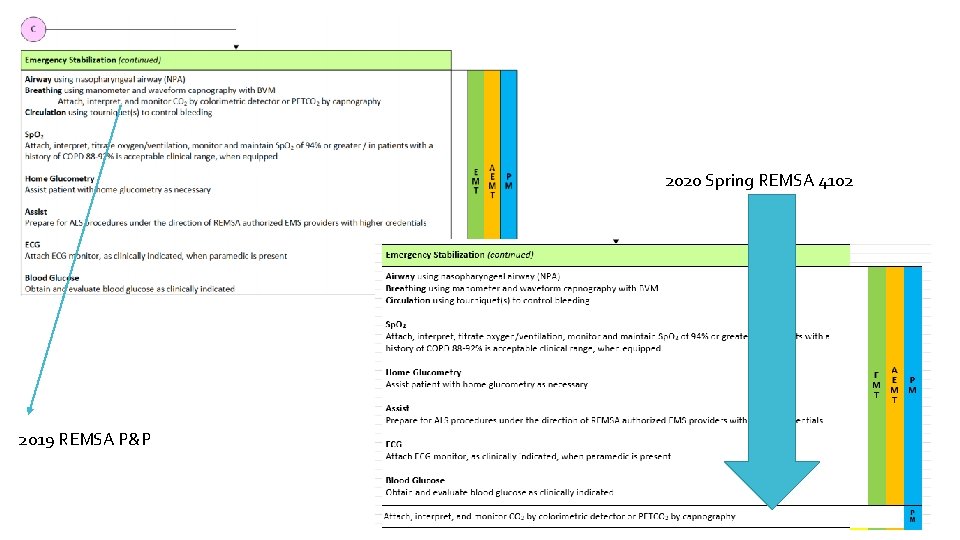 2020 Spring REMSA 4102 2019 REMSA P&P 