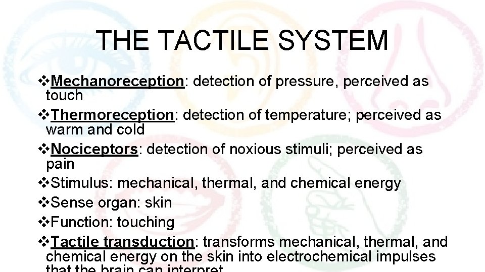 THE TACTILE SYSTEM v. Mechanoreception: detection of pressure, perceived as touch v. Thermoreception: detection