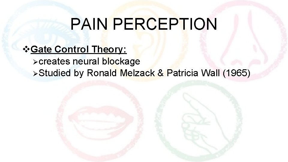PAIN PERCEPTION v. Gate Control Theory: Øcreates neural blockage ØStudied by Ronald Melzack &