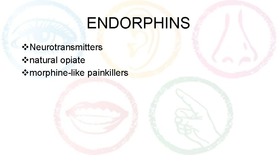 ENDORPHINS v. Neurotransmitters vnatural opiate vmorphine-like painkillers 