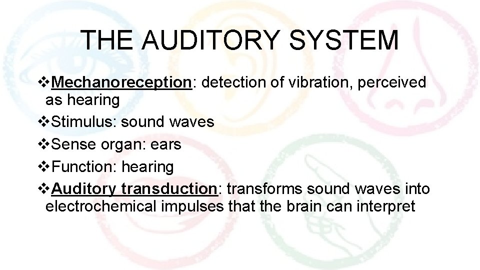 THE AUDITORY SYSTEM v. Mechanoreception: detection of vibration, perceived as hearing v. Stimulus: sound