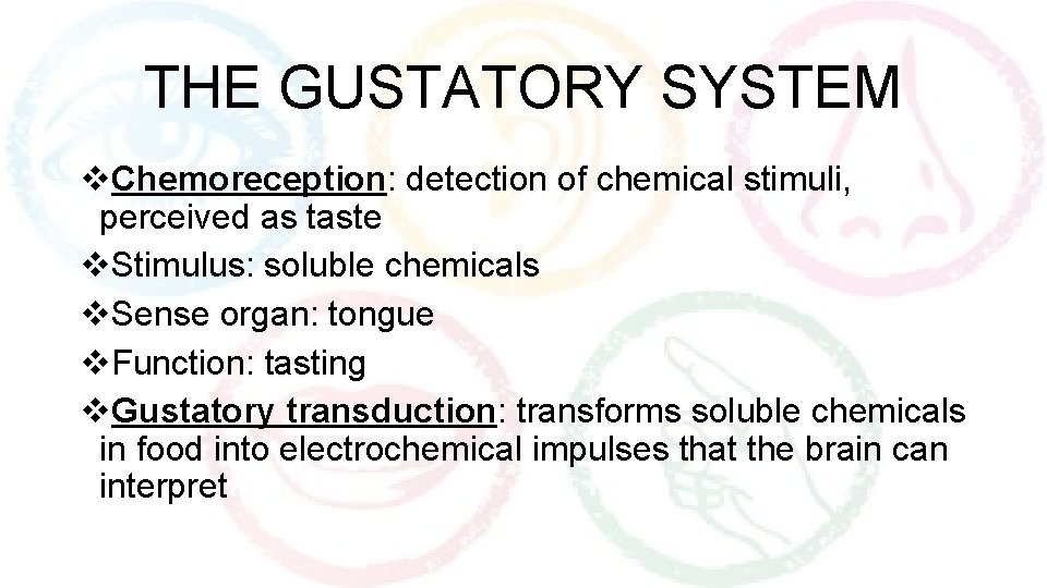 THE GUSTATORY SYSTEM v. Chemoreception: detection of chemical stimuli, perceived as taste v. Stimulus: