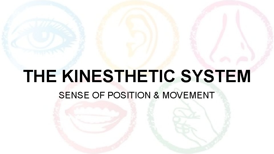 THE KINESTHETIC SYSTEM SENSE OF POSITION & MOVEMENT 