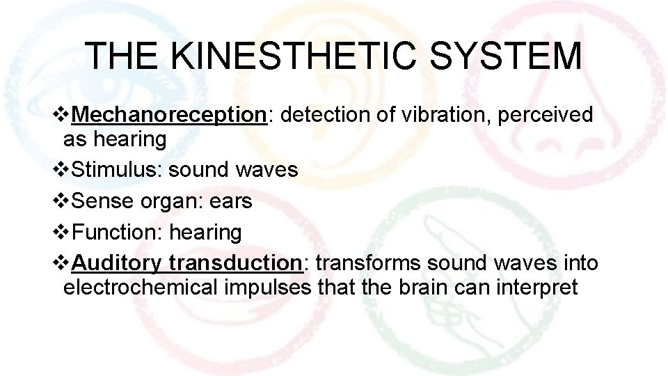 THE KINESTHETIC SYSTEM v. Mechanoreception: detection of vibration, perceived as hearing v. Stimulus: sound