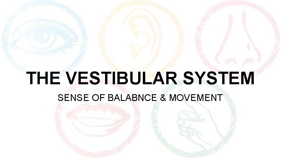 THE VESTIBULAR SYSTEM SENSE OF BALABNCE & MOVEMENT 