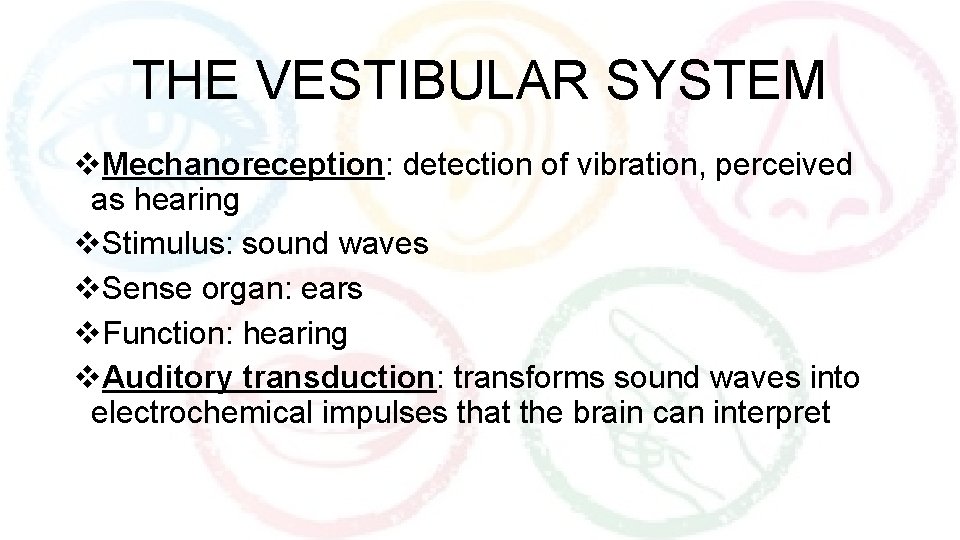 THE VESTIBULAR SYSTEM v. Mechanoreception: detection of vibration, perceived as hearing v. Stimulus: sound