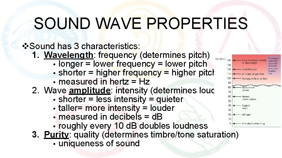 SOUND WAVE PROPERTIES v. Sound has 3 characteristics: 1. Wavelength: frequency (determines pitch) •