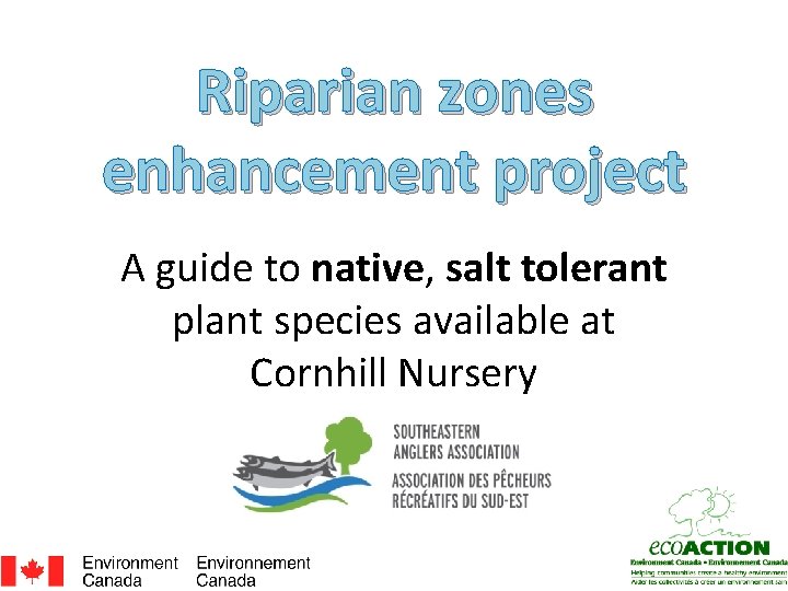 Riparian zones enhancement project A guide to native, salt tolerant plant species available at